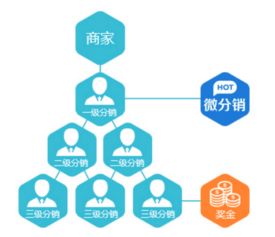 脂老虎下單系統(tǒng)開發(fā)案例解析 重慶軟件開發(fā)的創(chuàng)新實(shí)踐